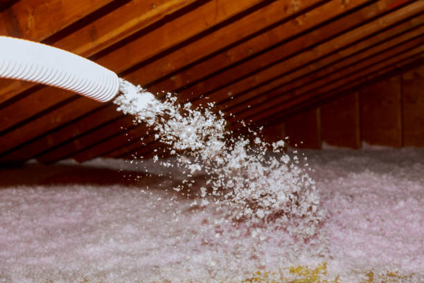 Best Batt and Roll Insulation  in Victoria, MN